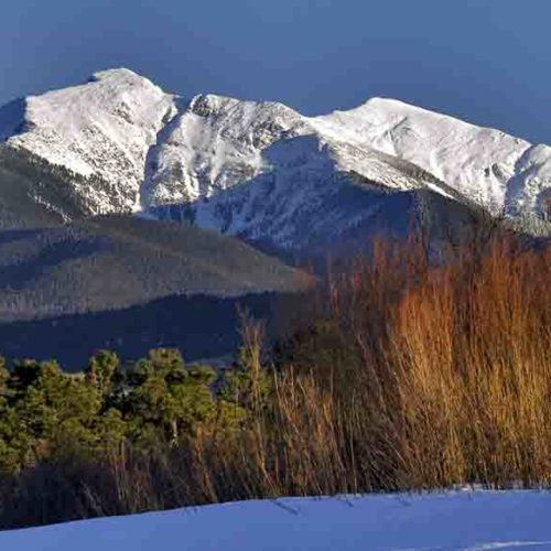 New Mexico Land Conservancy