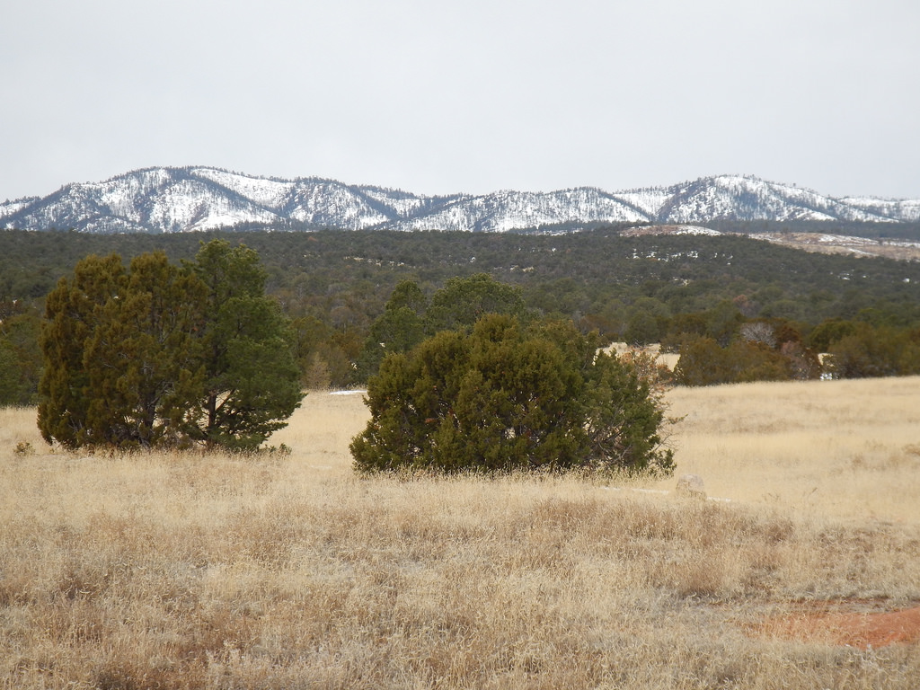 Bluewater Heritage Ranch New Mexico Land Conservancy