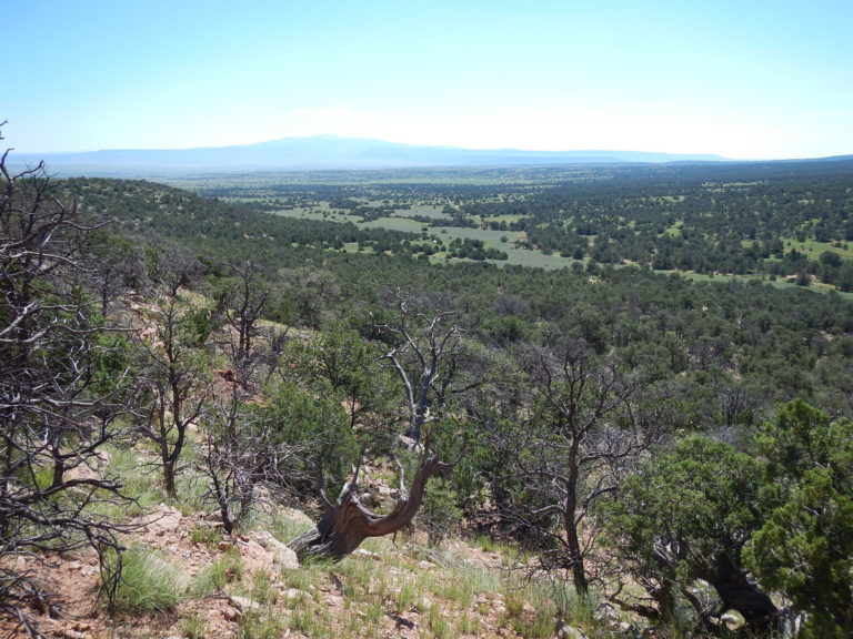 Bluewater Heritage Ranch New Mexico Land Conservancy