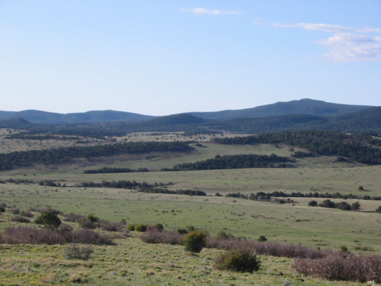 Carrizo Valley Ranch – New Mexico Land Conservancy