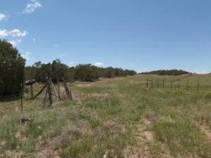 Deer Canyon Preserve – New Mexico Land Conservancy