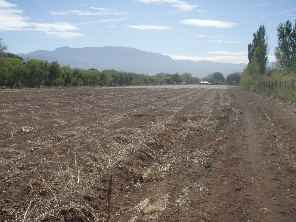 Gonzales Farmland – New Mexico Land Conservancy