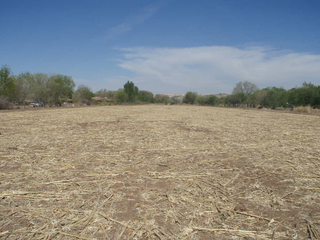 Gonzales Farmland New Mexico Land Conservancy