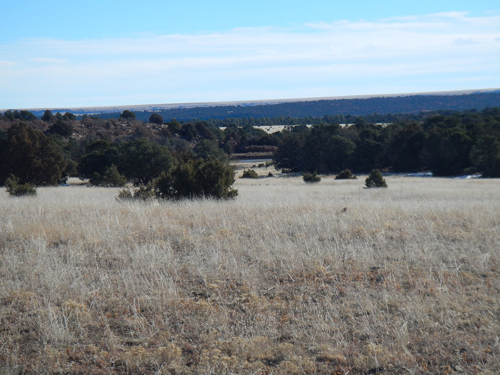 Phoenix Ranch West New Mexico Land Conservancy