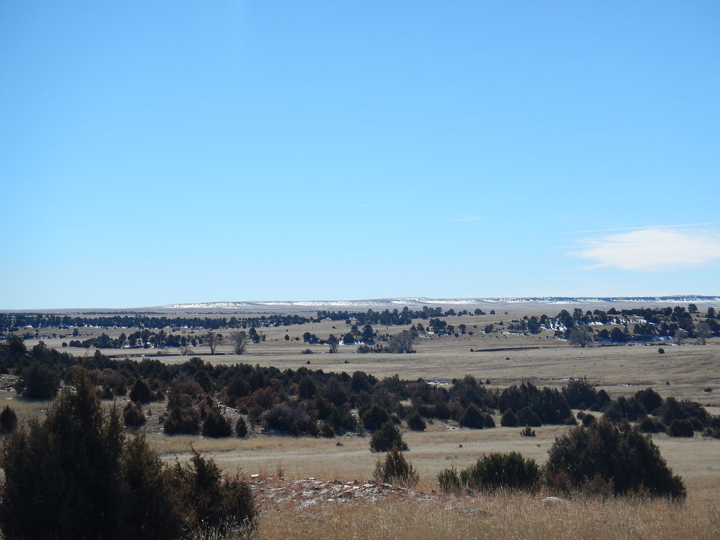Phoenix Ranch West New Mexico Land Conservancy