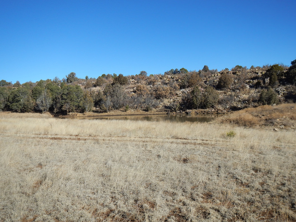 Phoenix Ranch West New Mexico Land Conservancy