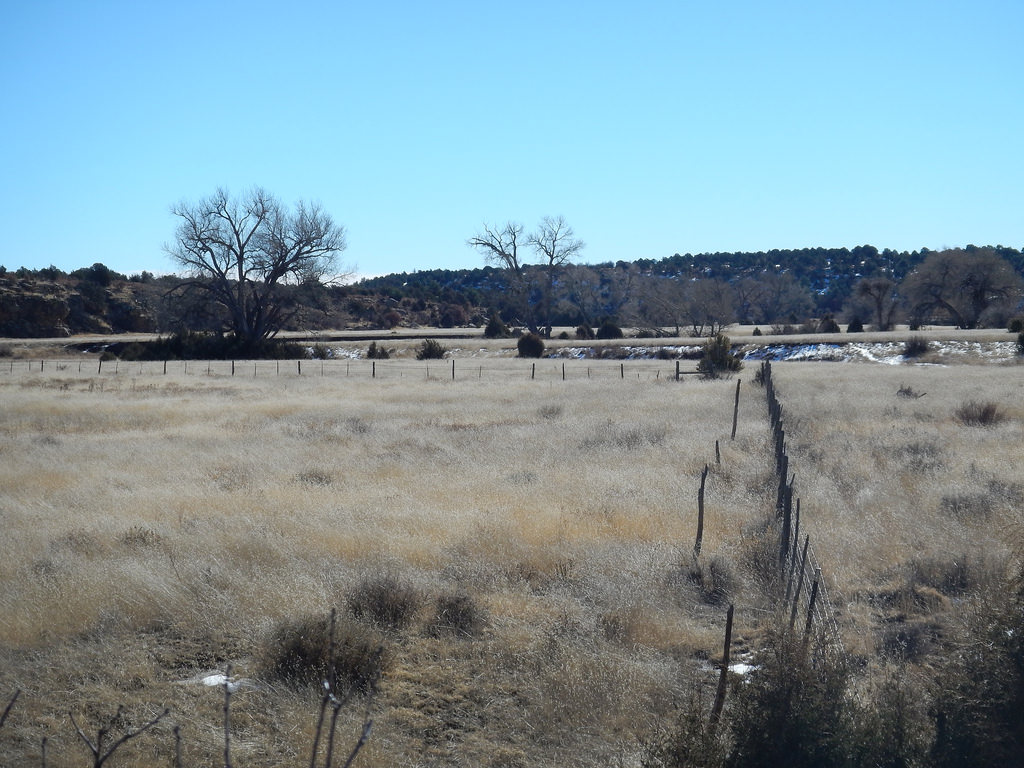 Phoenix Ranch West – New Mexico Land Conservancy