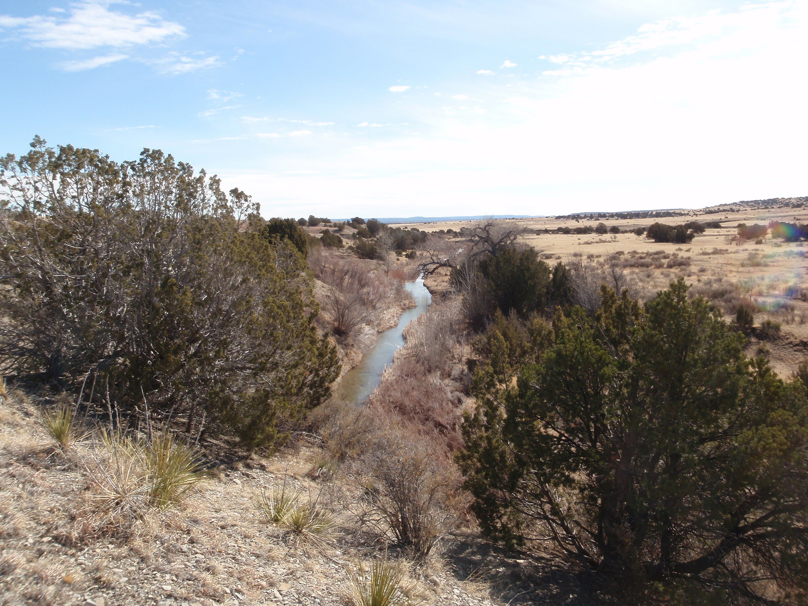 Wagon Mound Ranch New Mexico Land Conservancy
