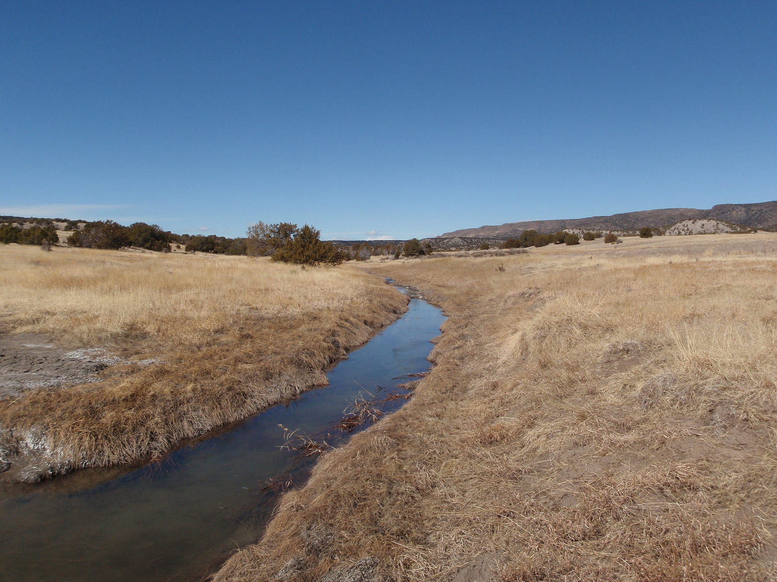 Wagon Mound Ranch New Mexico Land Conservancy