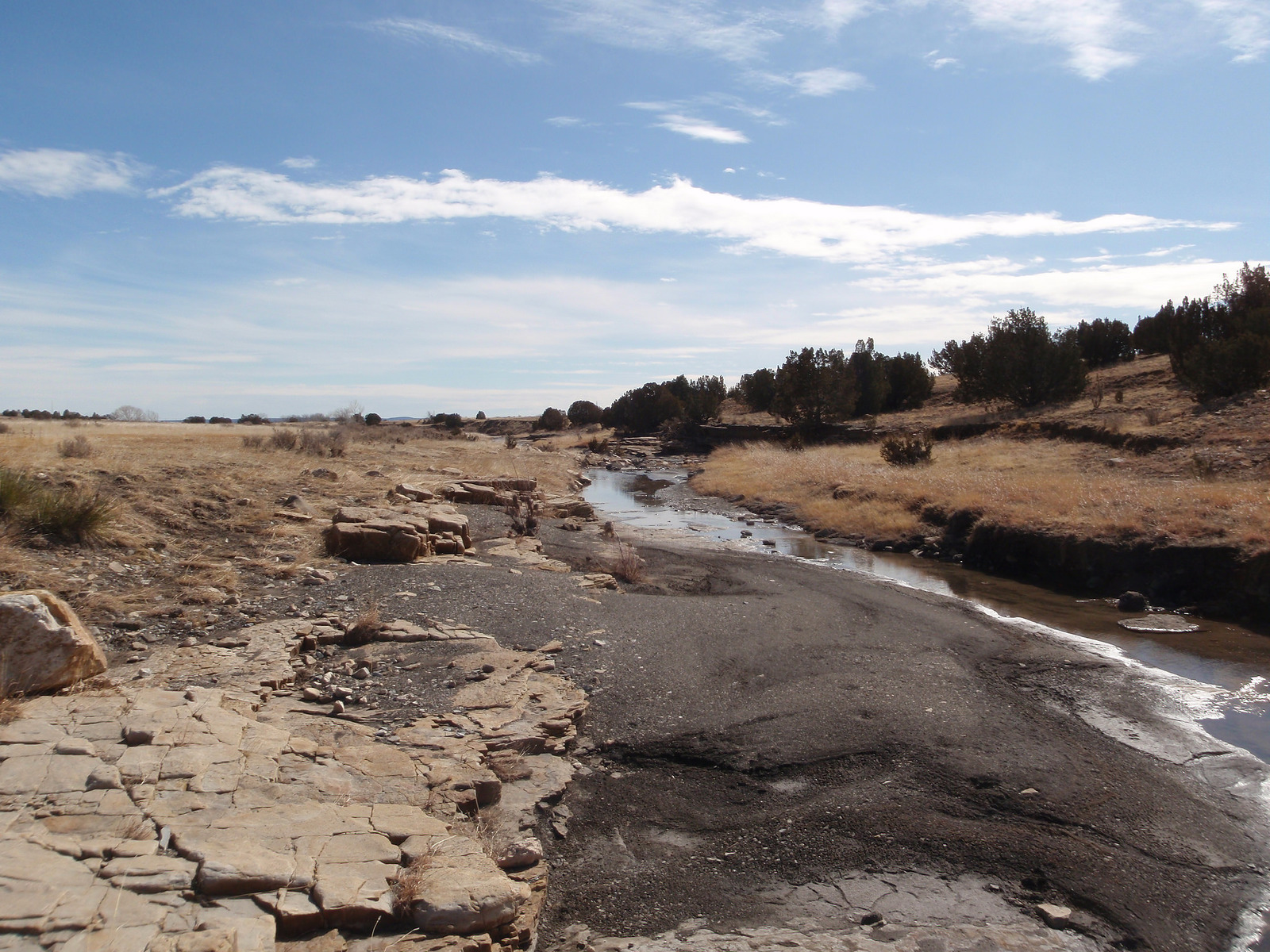 Wagon Mound Ranch New Mexico Land Conservancy