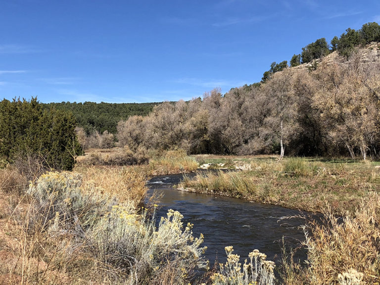 Forked Lightning Ranch – New Mexico Land Conservancy