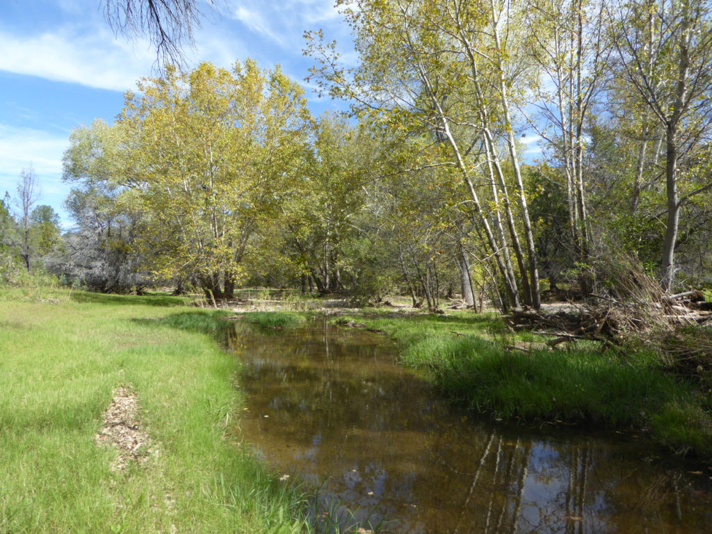Southwest SufiBear Creek New Mexico Land Conservancy