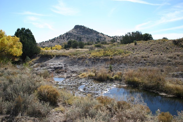 Bringing the Water Back | The Pitchfork Ranch – New Mexico Land Conservancy