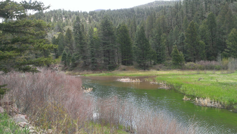 CS Ranch – New Mexico Land Conservancy