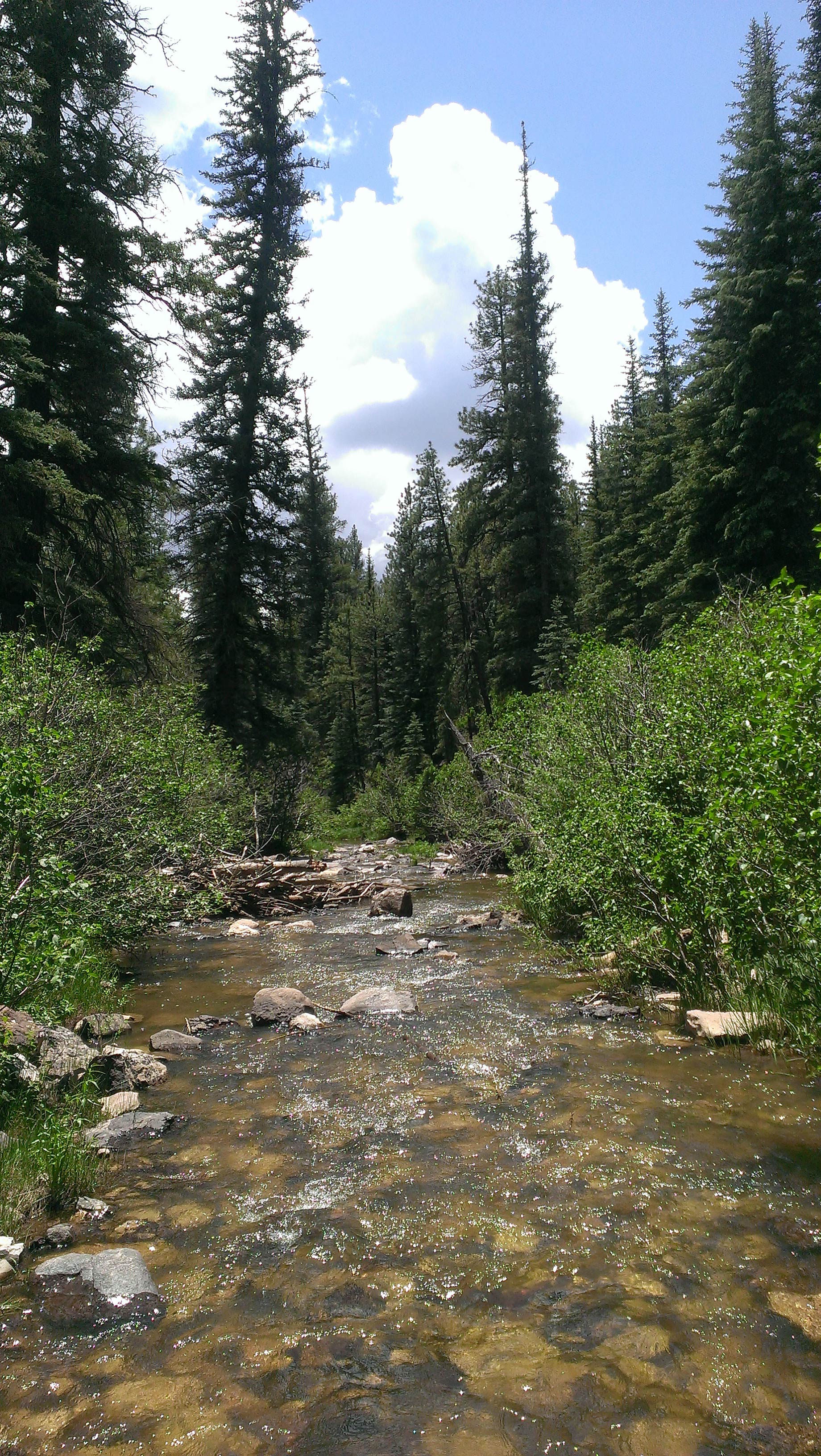 Rancho del Chaparral – New Mexico Land Conservancy