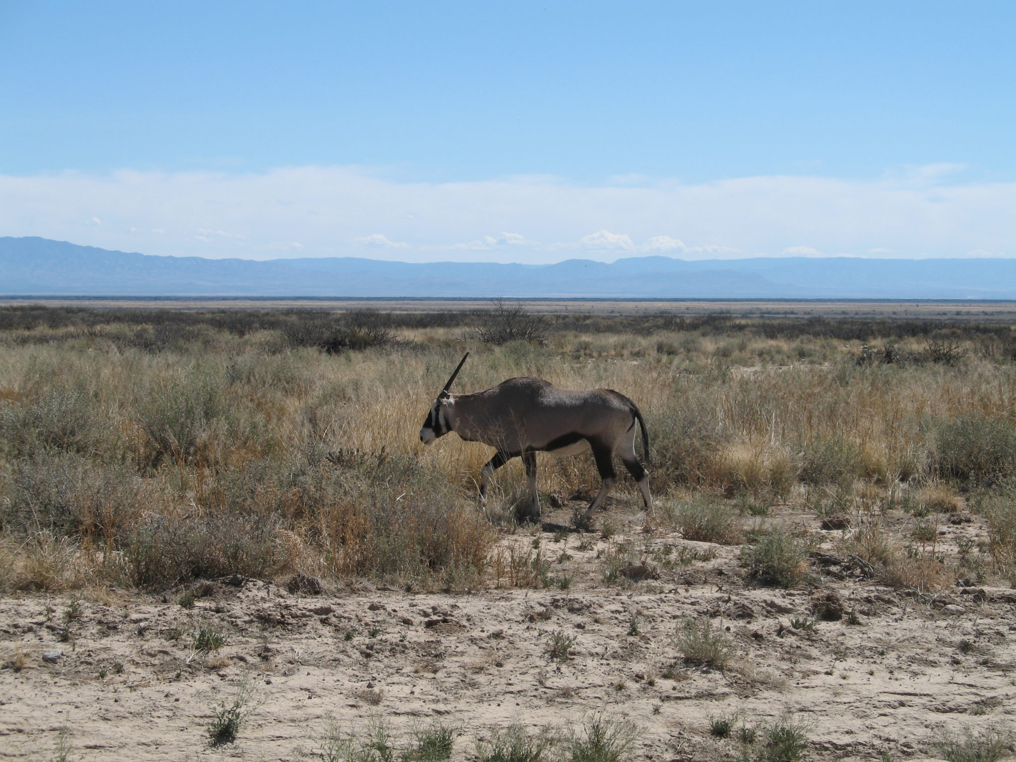 White Sands Missile Range (U.S. Army) New Mexico Land Conservancy