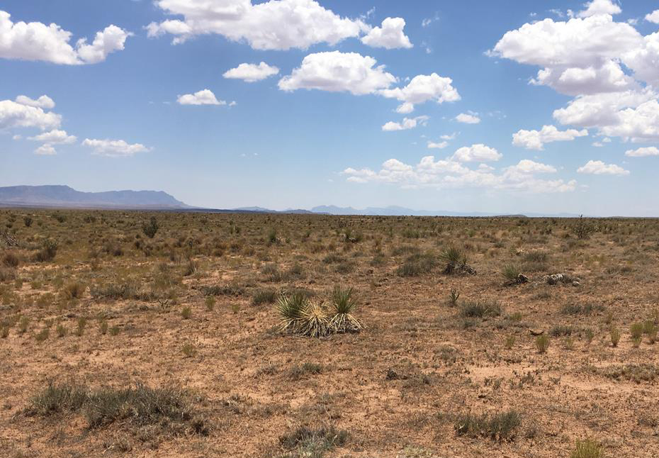 Luther Ranch New Mexico Land Conservancy