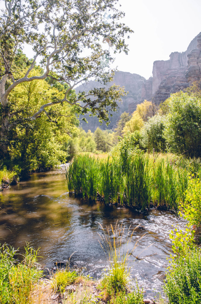 Join our Team! NMLC is seeking a Stewardship Intern to assist with annual field work monitoring our 100+ conservation easements throughout New Mexico!  APPLICATION deadline is May 9, 2023.