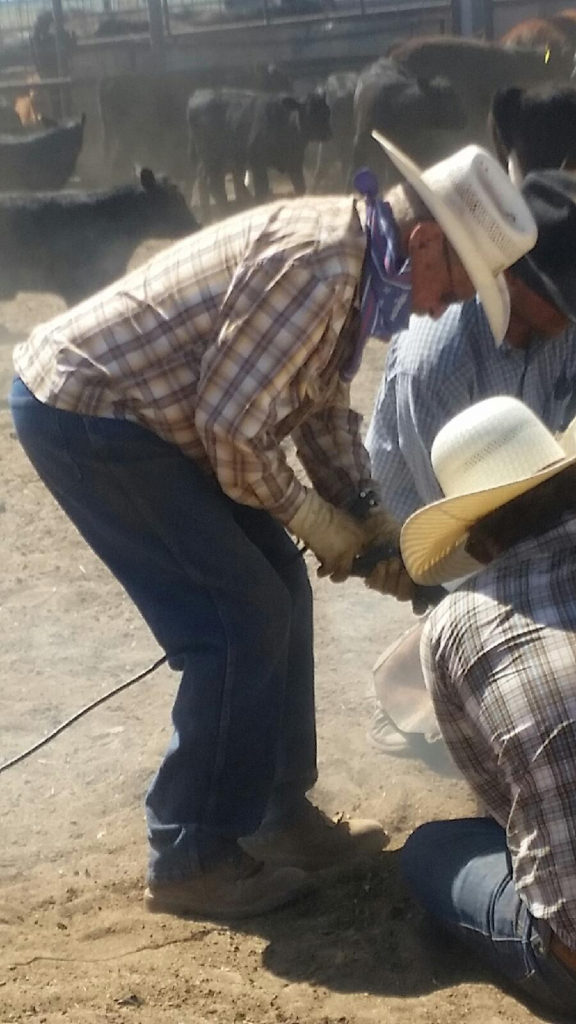 Luther Ranch New Mexico Land Conservancy