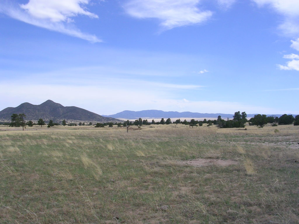 Montosa Ranch – New Mexico Land Conservancy