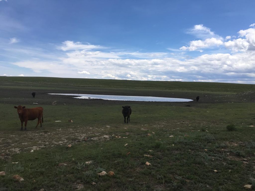 Phoenix Ranch West – New Mexico Land Conservancy