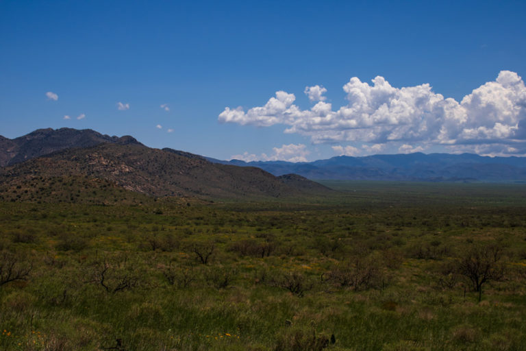 Cienega Ranch New Mexico Land Conservancy