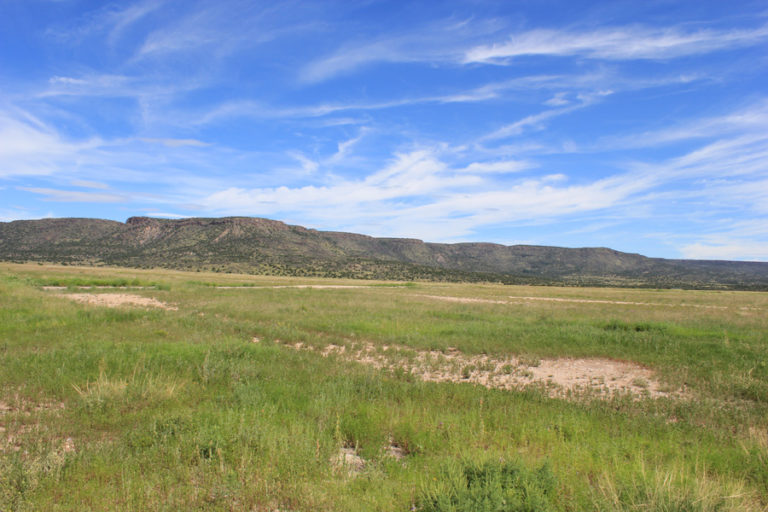 Wagon Mound Ranch – New Mexico Land Conservancy