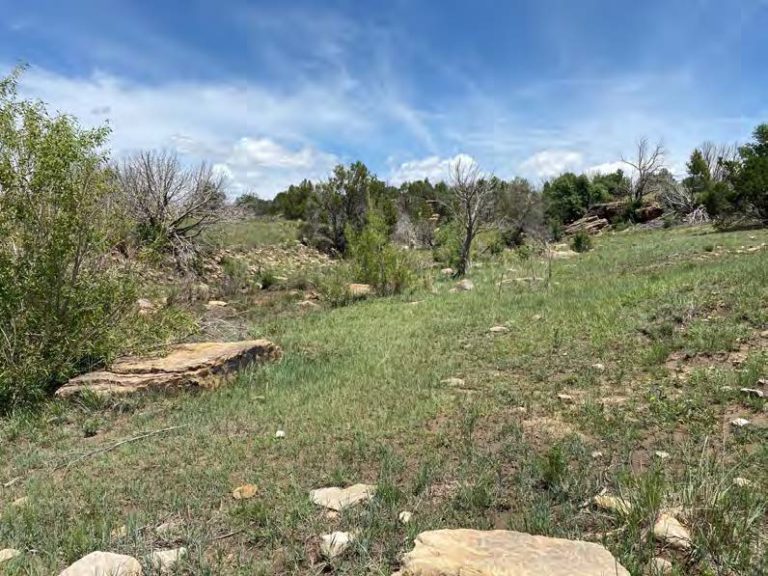 Wagon Mound Ranch New Mexico Land Conservancy