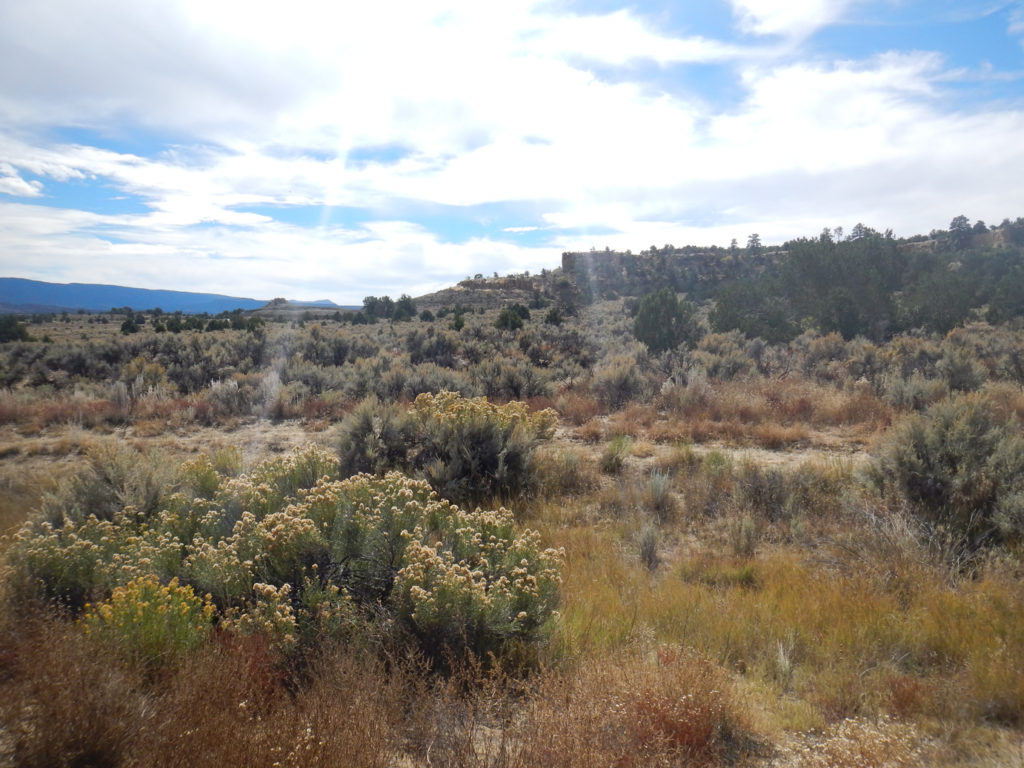 Tecolote de Mesa Portales – New Mexico Land Conservancy