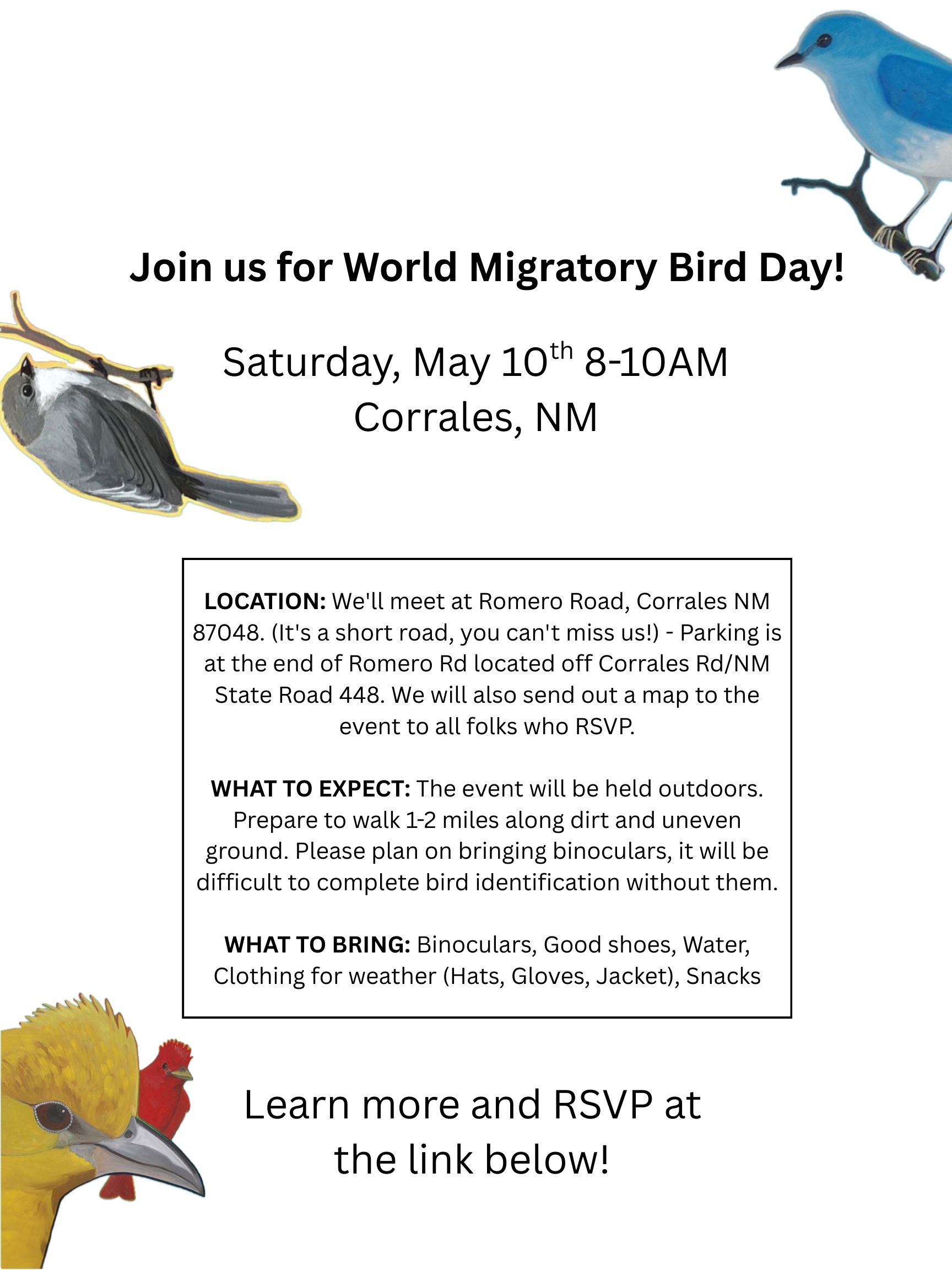 Web Version World Migratory Bird Day Poster